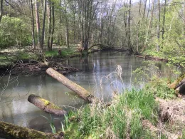 Buckau (Wendgräben)-1