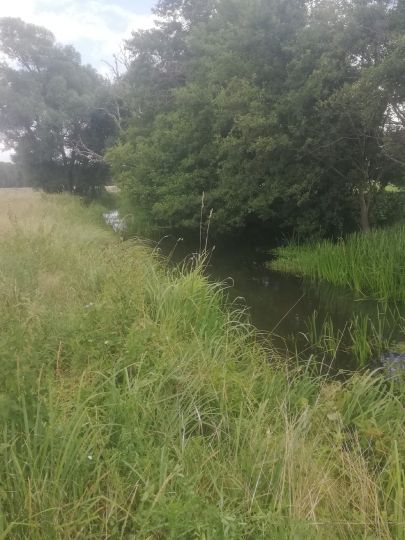 Buckau (Wendgräben)-4