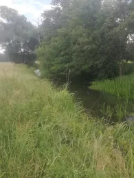 Buckau (Wendgräben)-4