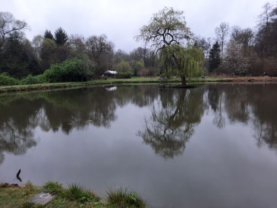 Forellenhof Mühlenweiher-1