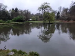 Forellenhof Mühlenweiher-1