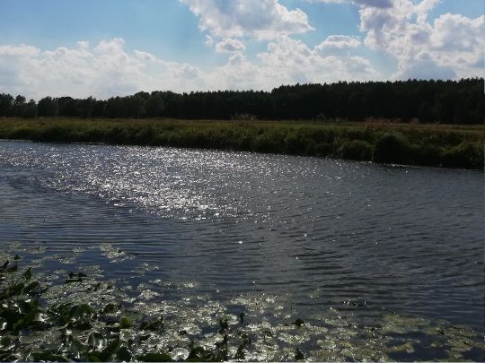 Oker (Meinersen)-4