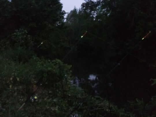 Oker (Meinersen)-3