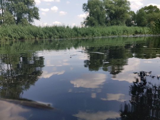 Oker (Meinersen)