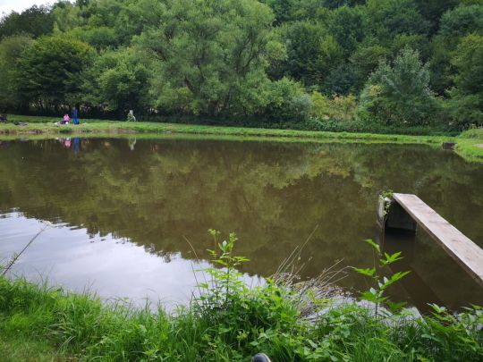 Fischzucht Borger (Wadrill)-3