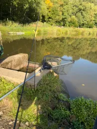 Fischzucht Borger (Wadrill)-4