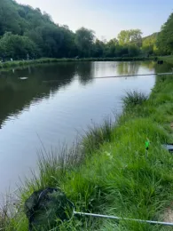 Fischzucht Borger (Wadrill)-2