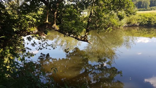 Wupper (Leichlingen-Opladen)-3