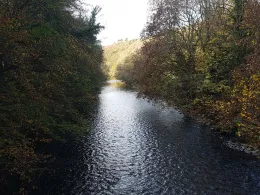Wupper (Leichlingen-Opladen)-1