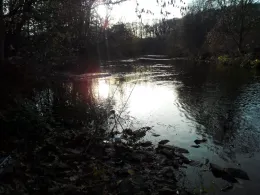 Wupper (Leichlingen-Opladen)-4