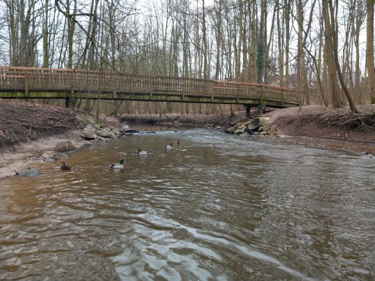 Beste (Bad Oldesloe)-1