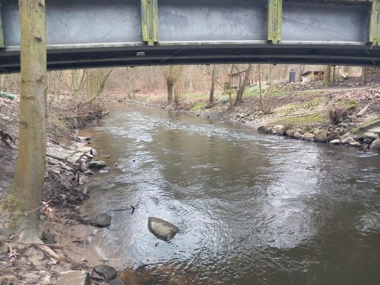 Beste (Bad Oldesloe)-4