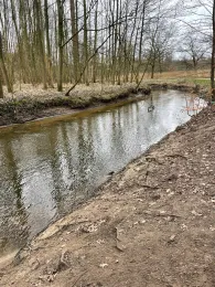 Beste (Bad Oldesloe)-3