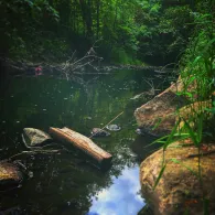 Beste (Bad Oldesloe)