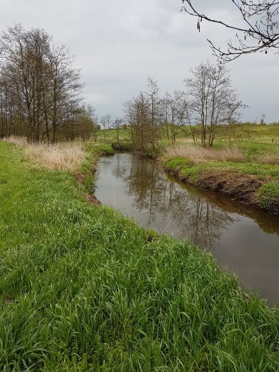 Beste (Bad Oldesloe)-2