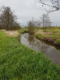 Beste (Bad Oldesloe)-2