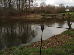 Goldbachteich (Radeberg)