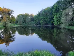 Goldbachteich (Radeberg)-2