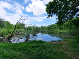 Baggersee am Fischerheim (Donautal/Ulm)-1