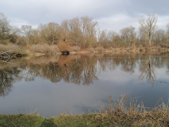 Baggersee am Fischerheim (Donautal/Ulm)-2