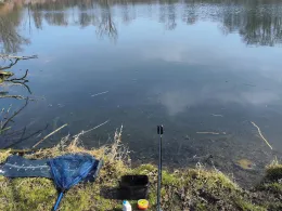 Baggersee am Fischerheim (Donautal/Ulm)-4