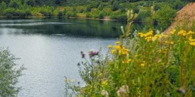 Kieskuhle Streem (Wahlstedt)