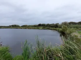 Bøvling Put and Take-2