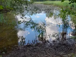 Rückhaltebecken OBI II-2