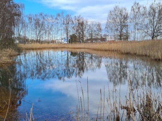 Rückhaltebecken OBI II