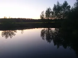 Barschteich (Elmenhorst-Lichtenhagen)