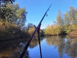 Barschteich (Elmenhorst-Lichtenhagen)-2