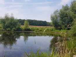 Barschteich (Elmenhorst-Lichtenhagen)-2