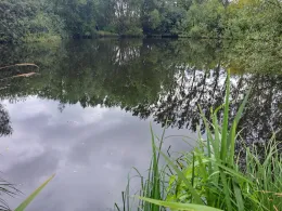 Barschteich (Elmenhorst-Lichtenhagen)-4