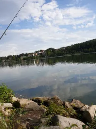 Donau (Schalding)-2