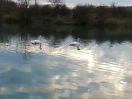 Kiesteich Heiningen-1