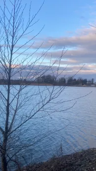 Kiesteich Heiningen-2