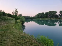 Kiesteich Heiningen-3