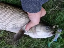 Gnevsdorfer Vorfluter-2