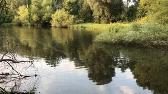 Rückhaltebecken Haldesdorfer Straße-2