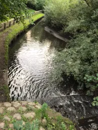 Rückhaltebecken Haldesdorfer Straße-4