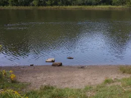 Rückhaltebecken Haldesdorfer Straße-3