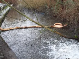Rückhaltebecken Haldesdorfer Straße-1