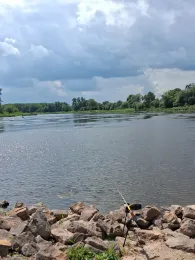 Elbe (Roßlau)-2