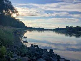 Elbe (Roßlau)-1