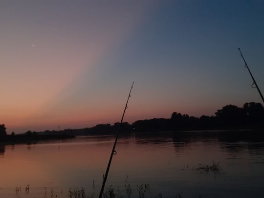 Elbe (Roßlau)