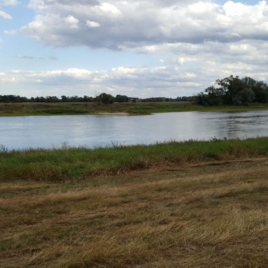 Elbe (Roßlau)-2