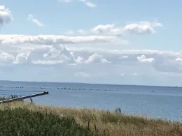 Rügischer Bodden (Muglitz)