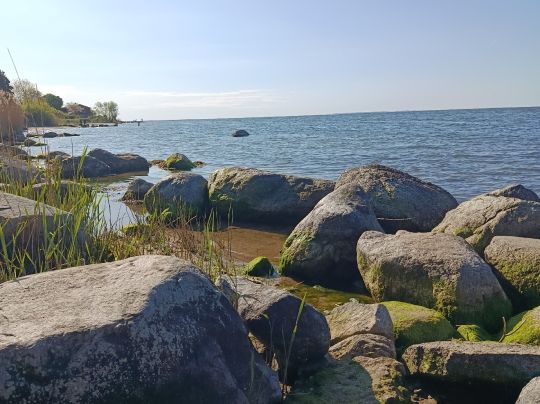 Rügischer Bodden (Muglitz)-1