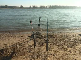 Rhein (Büderich)-4