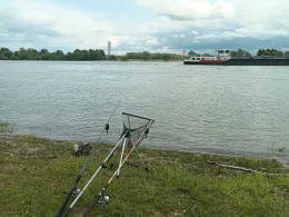 Rhein (Büderich)-4